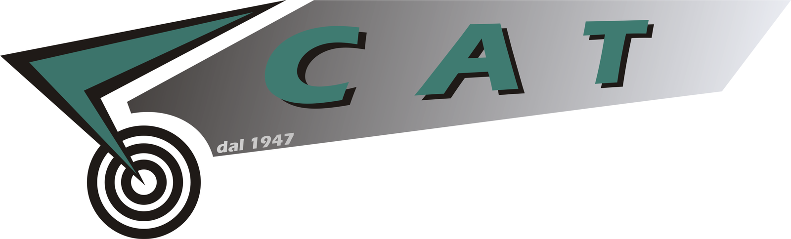 contatti noleggio con conducente Napoli